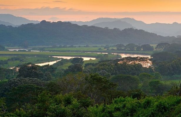 Carara National Park and Crocodile River Cruise