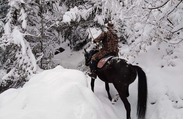 1 Hour Waterfalls Canyon Private Horse Riding in Smolyan