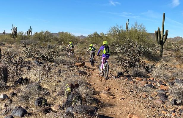 2 Hour Sonoran Desert Private Guided Mountain Bike Tour