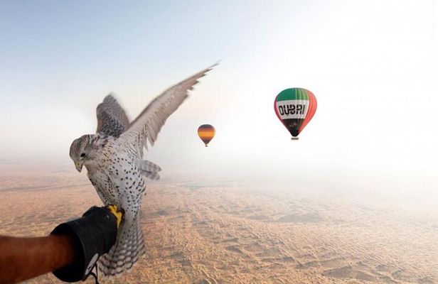  Enjoy Views Of Dubai Beautiful Desert By Hot Air Balloon From Dubai & Falcon 