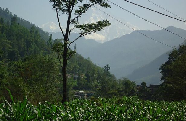 Annapurna Ghandruk village Trek