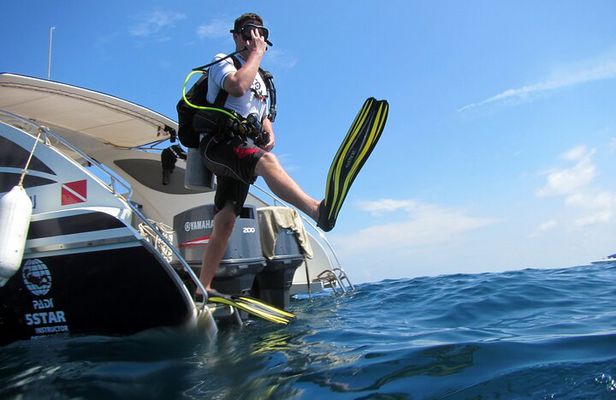 Diving Tour for Certified Divers: Sail Rock or Koh Tao