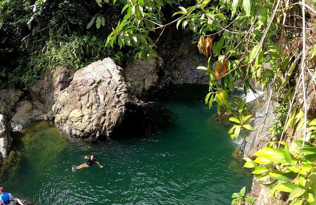 Rainforest Nature Walk & Luquillo Beach Combo