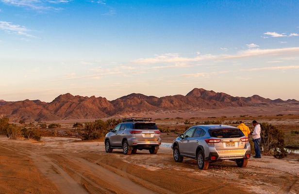 Sunset Oasis Desert Experience in El Gouna and Hurghada