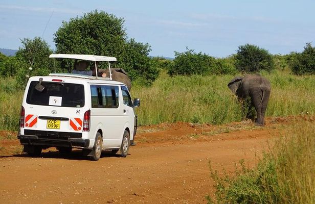 3 Days Maasai Mara Guided Safari from Nairobi