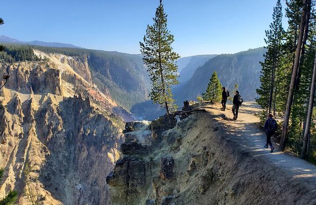 Grand Canyon of the Yellowstone Rim and Loop Hike with Lunch