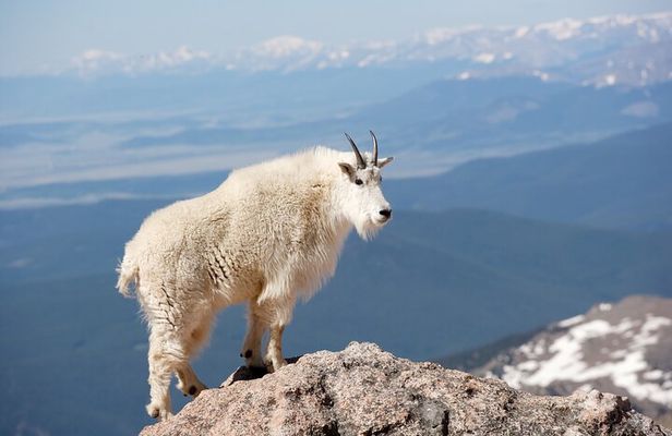 Mount Blue Sky Alpine Summit & Red Rocks Tour from Denver