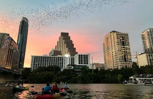Congress Avenue Bat Bridge Kayak Tour in Austin