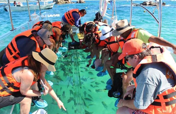 Clear Boat Ride in Los Cabos