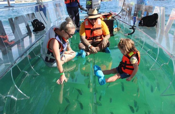 Clear Boat Ride with City Tour in Los Cabos