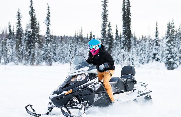 Snowmobile Tour in Fairbanks