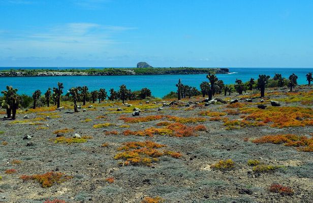 4-Day Wildlife Tour in Santa Cruz Island