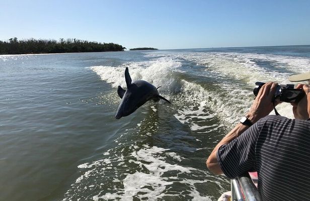 Everglades Day Safari from Ft Lauderdale