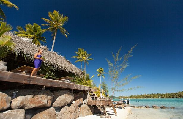 Reef Discovery Private Full Day Lagoon Tour & Motu Lunch
