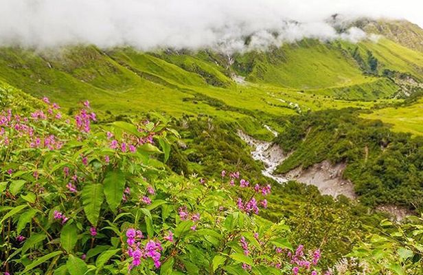 Valley of Flowers and Hemkund Trek- Banbanjara