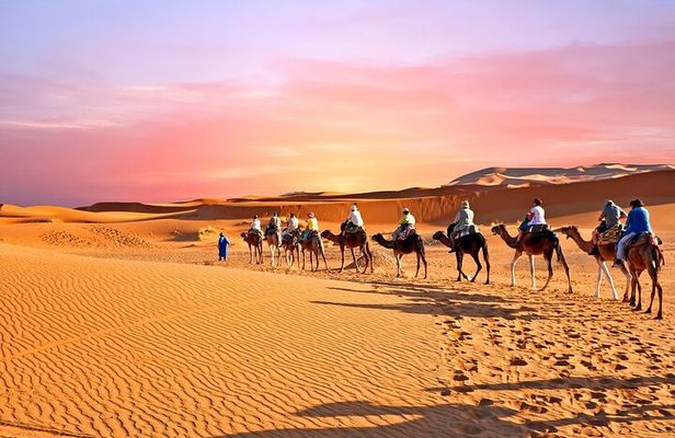 Private 2 Days Tour to Zagora Desert, Camel Treks in Tinfou Dunes from Marrakech
