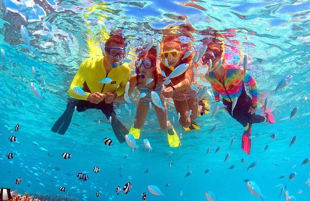 Eco Snokeling in Piti Bay Marine