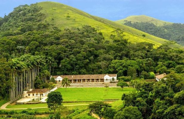Rural Coffee Farm Tour with Breakfast & Lunch - Roasting & Tasting Experience