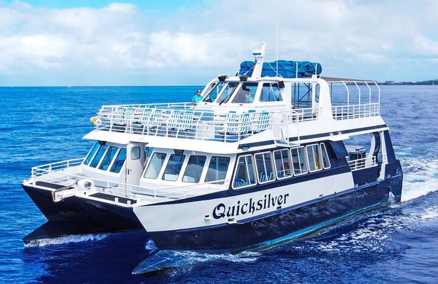 Maui Snorkeling Boat Tour to Turtle Town Aboard Quicksilver