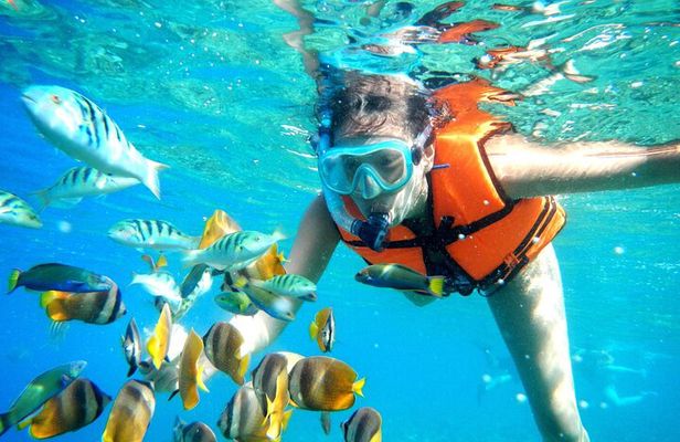 Half-Day Puerto Morelos Snorkeling Experience with Lunch