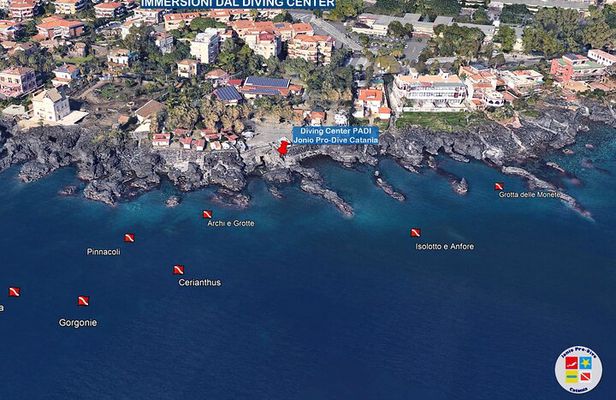Diving guided by the Diving Center (with full equipment)