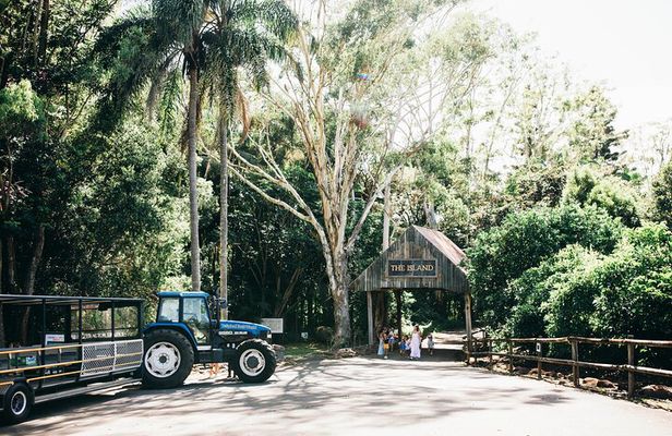 Tropical Fruit World Farm Full Tour