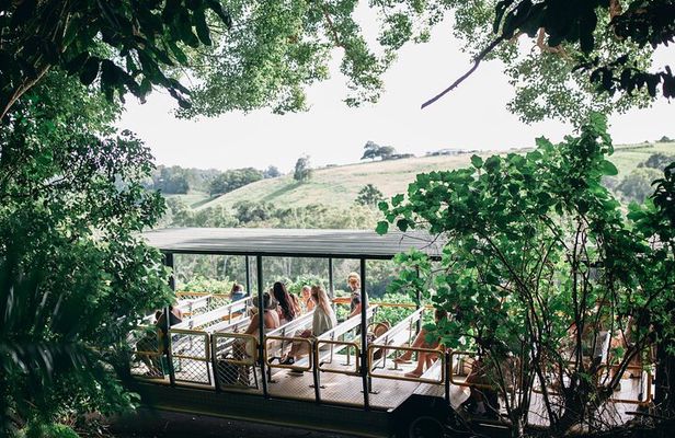 Tropical Fruit World Farm Full Tour 