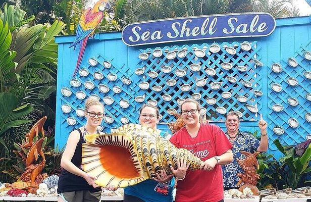 Private Full Day Maui Road to Hana Tour