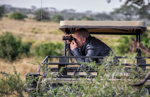 9 Days Migration Safari Tanzania Budget 