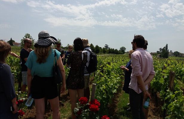 Saint Emilion Wine Tour Tasting Half Day from Bordeaux