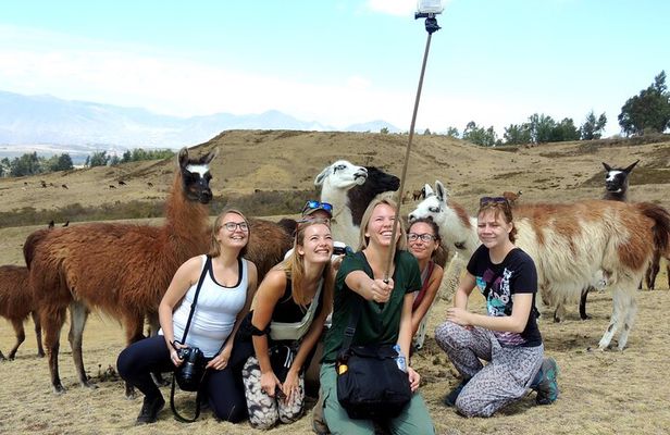 Cochasqui Pyramids, Rose Plantation and Equator Line Day Tour