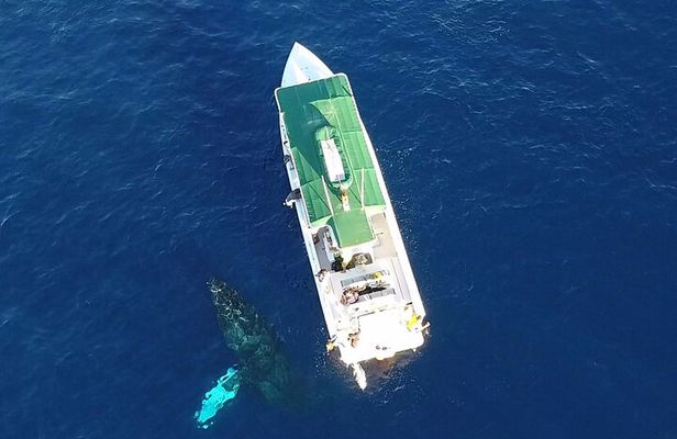 Private Charter Sanity Vessel Tour Off Kaanapali Beach to Lanai