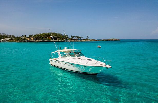Private Snorkeling or Fishing in Nassau - 38ft Freestyle