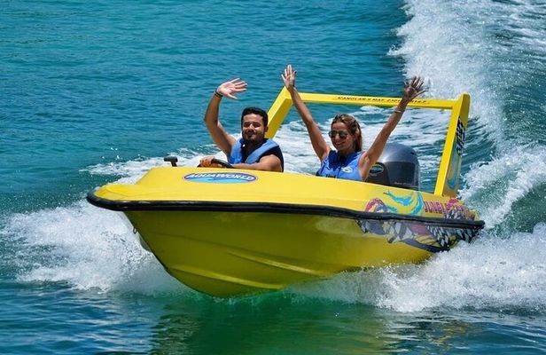 Mangrove Jungle Speedboat Experience