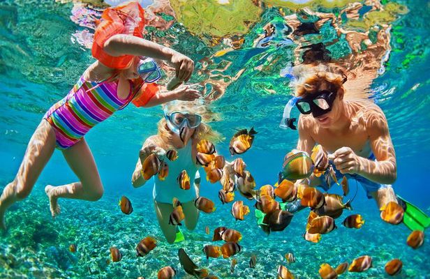 Nizuc Reef Snorkel Experience