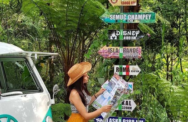 Visit The Greatest Orchid Sanctuary: Orquigonia - Half Day Tour