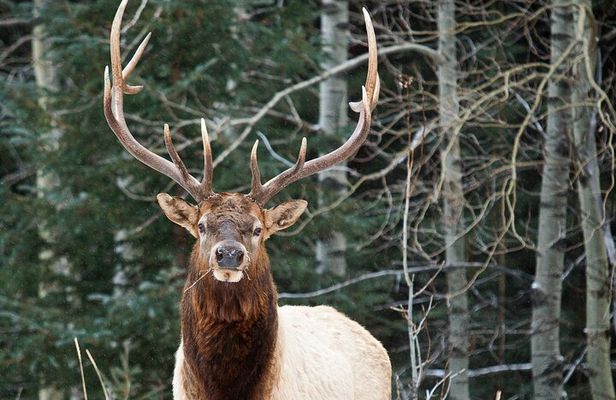 Wilderness and Wildlife Hiking Tour - 3hr Hike