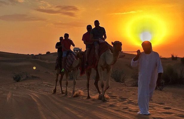 Sunset Camel Trek with Sandboarding and Lavish BBQ Dinner Buffet