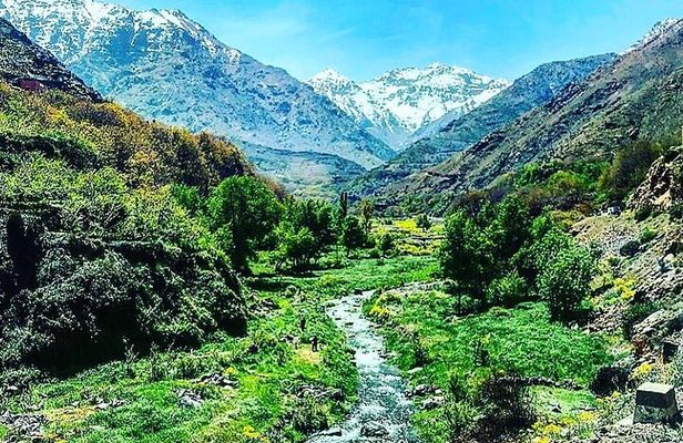 Atlas Mountains Tour from Marrakesh with a Guide 