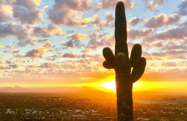 Hiking Adventure in the Sonoran Desert