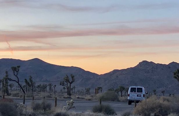 Joshua Tree National Park Driving Tour