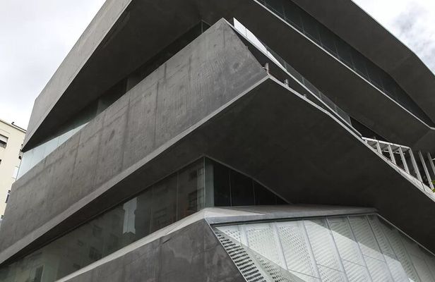 Modern Architecture Full-day Tour in Rio with Transfer