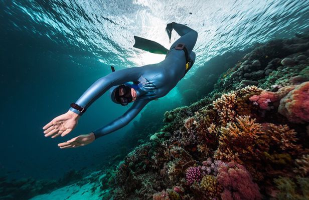 3-Day Freediving Level 1 Course