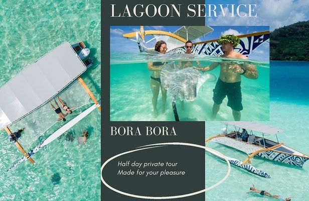Half Day Private Lagoon Snorkeling Experience 