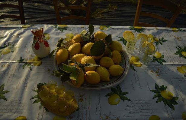 Discovery Tour of Sorrento Lemon in Massa Lubrense