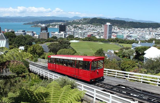 Wellington Scenic Full Day Tour