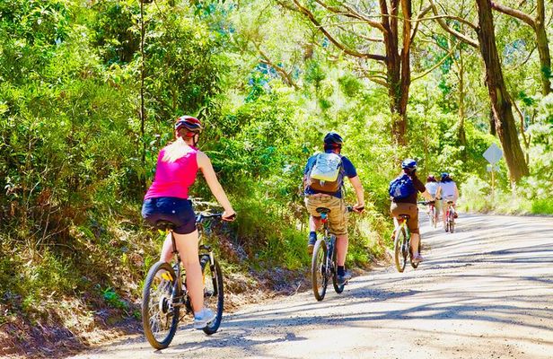 Mornington Peninsula Self-Guided Bike Tour | Food & Wine Region