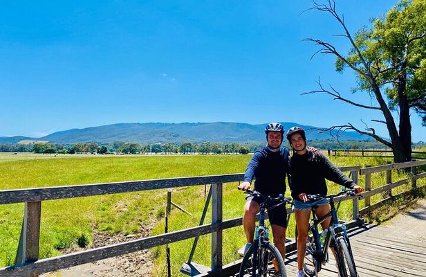 Yarra Valley Guided Bike Tour | Food & Wine Region