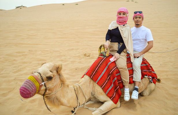 Morning Camel Safari Tour with Breakfast