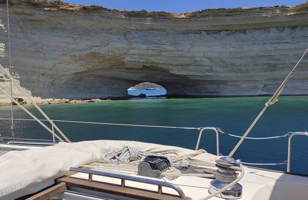 Private Marine Life Spotting - Dolphin watching EcoMarine Malta